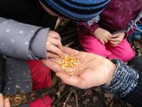 Familienzentrum Bilderstöckchen